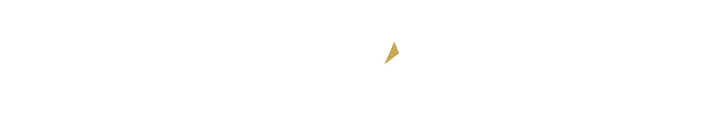 GovLeaders Group